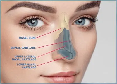 Rhinoplasty Deposit